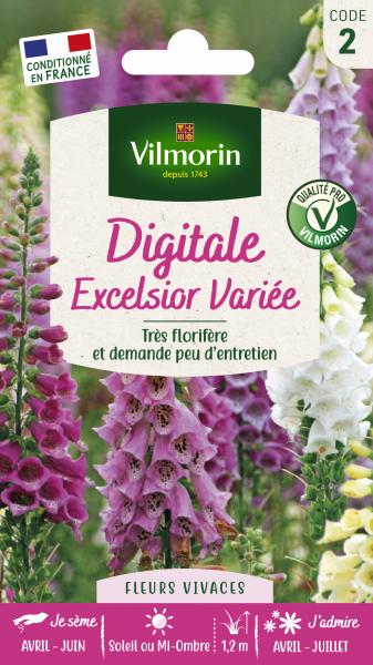 Fleurs - Digitale Excelsior Variée - PACKAGING_RECTO